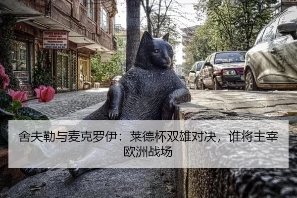 she-fu-lei-yu-mai-ke-luo-yi-lai-de-bei-shuang-xiong-dui-jue-shui-jiang-zhu-zai-ou-zhou-zhan-chang-2-365.jpg