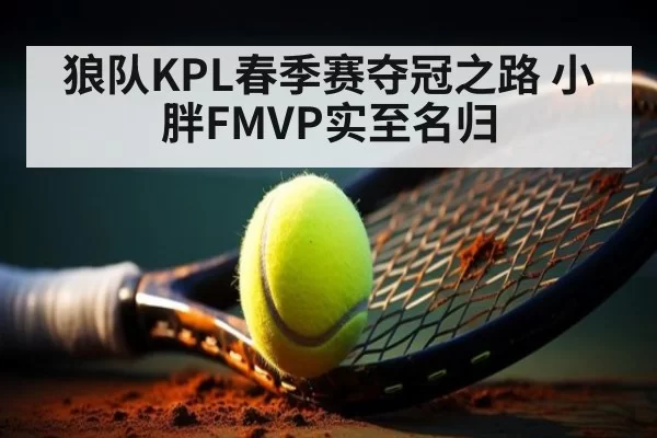 狼队KPL春季赛夺冠之路 小胖FMVP实至名归